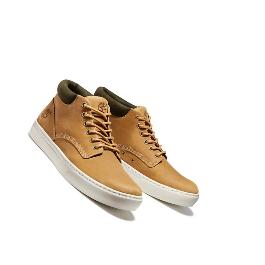 Botas Chukka Timberland Adventure 2.0 Cupsole Hombre Amarillo | ES-WBRNG96