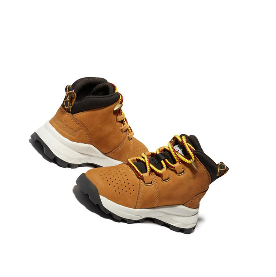 Botas Chukka Timberland Brooklyn Alpine Niños Marrones | ES-UHIJM06