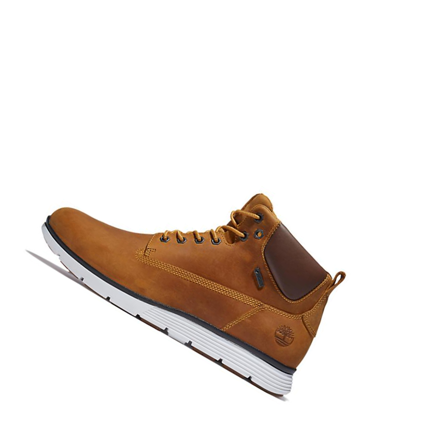 Botas Chukka Timberland Killington Gore-Tex® Hombre Amarillo | ES-SHOFN46