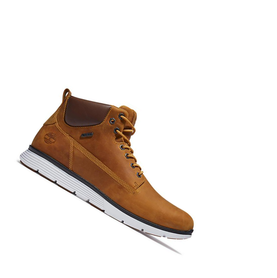 Botas Chukka Timberland Killington Gore-Tex® Hombre Amarillo | ES-SHOFN46