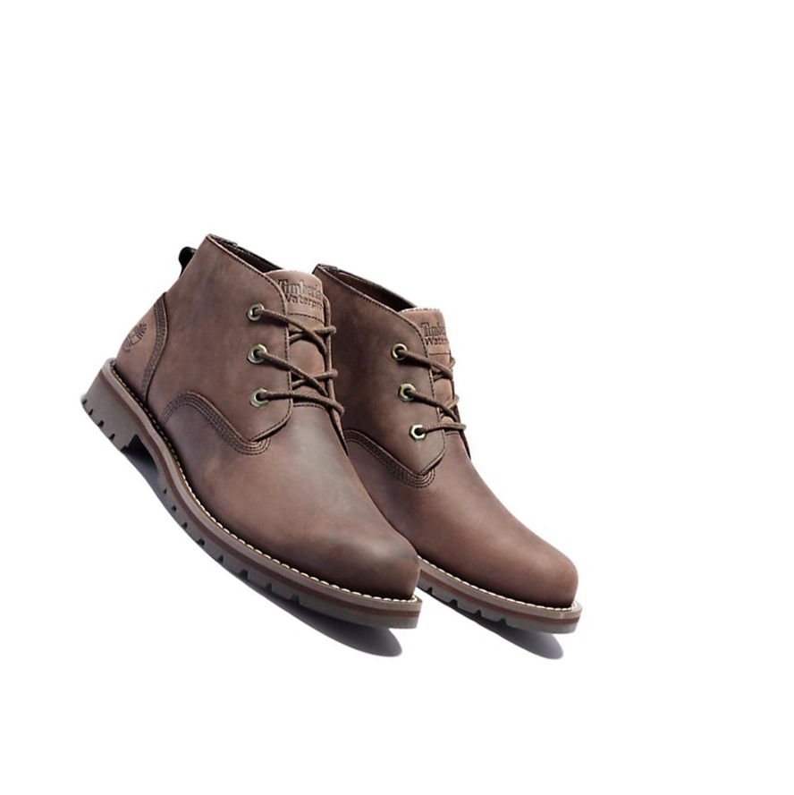 Botas Chukka Timberland Larchmont II Hombre Marrones Oscuro | ES-QJXNI21