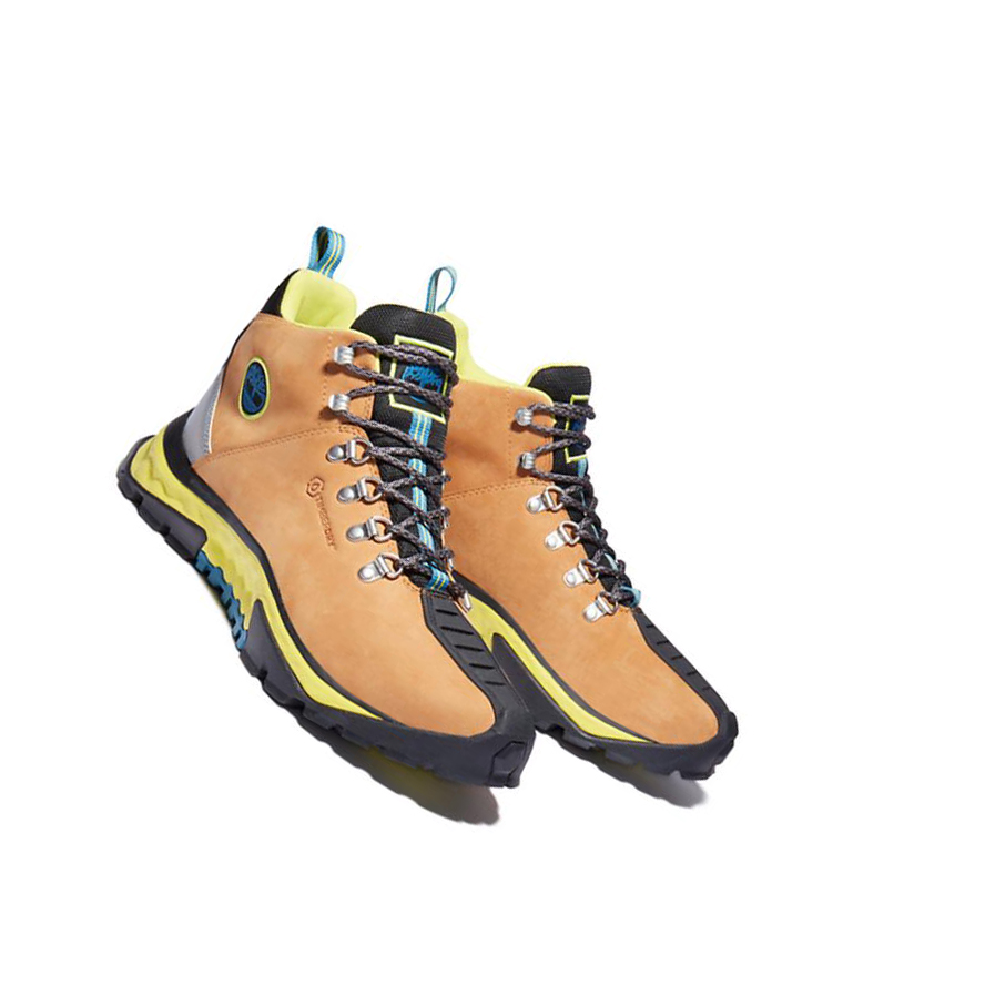 Botas Chukka Timberland Solar Ridge GreenStride™ Hombre Amarillo | ES-ILPMY40