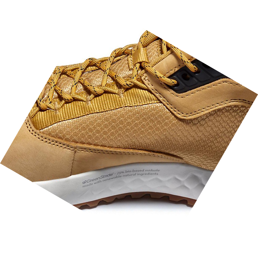 Botas Chukka Timberland Solar Wave GreenStride™ Hombre Amarillo | ES-CNSIY27