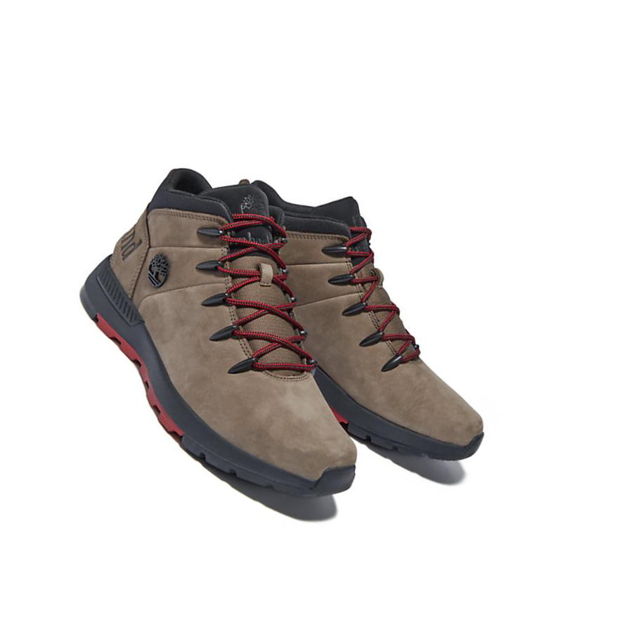 Botas Chukka Timberland Sprint Trekker Hombre Greige | ES-NEBVF89