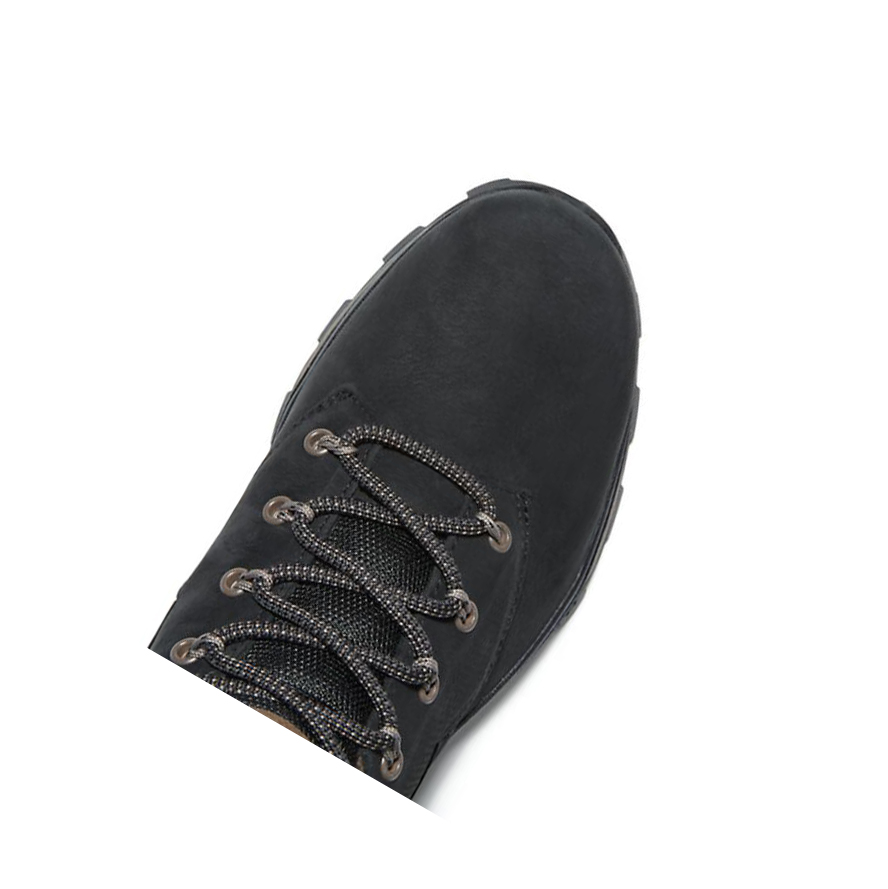 Botas Chukka Timberland Treeline Hiker Hombre Negras | ES-DNLJC10