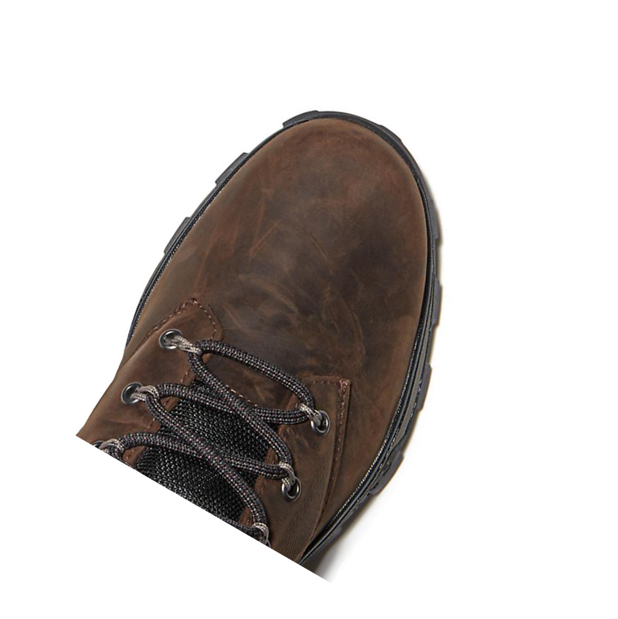 Botas Chukka Timberland Treeline Hiker Hombre Marrones Oscuro | ES-KPSTA26