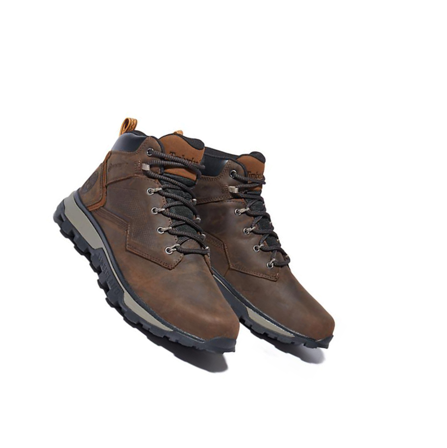 Botas Chukka Timberland Treeline Hiker Hombre Marrones Oscuro | ES-KPSTA26