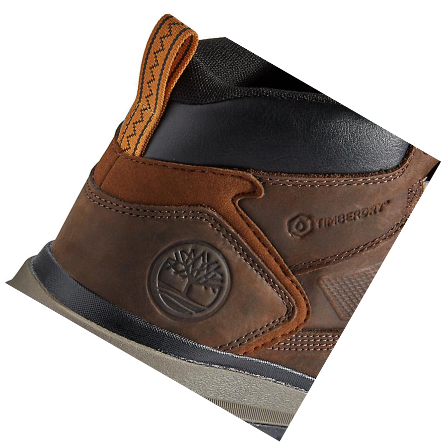 Botas Chukka Timberland Treeline Hiker Hombre Marrones Oscuro | ES-KPSTA26