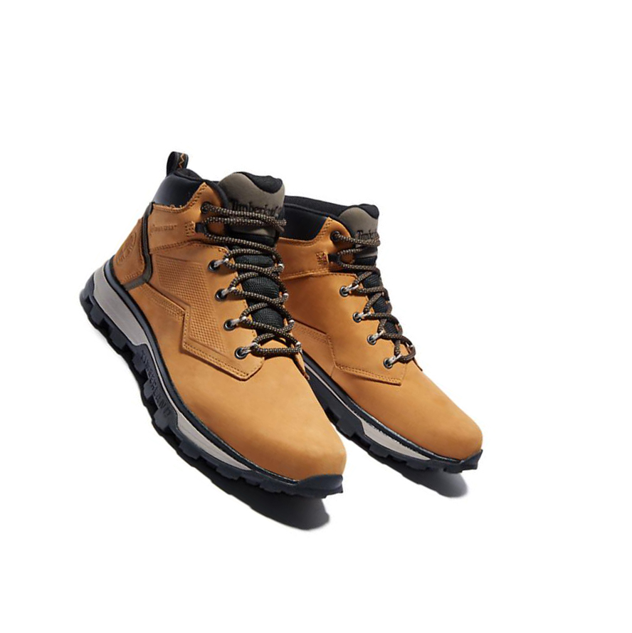 Botas Chukka Timberland Treeline Hiker Hombre Amarillo | ES-PCWSN95