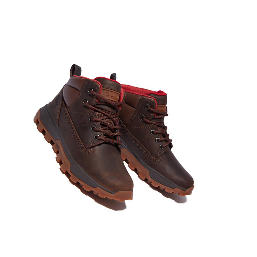 Botas Chukka Timberland Treeline Mid Hiker Niños Marrones Oscuro | ES-VOWIQ04