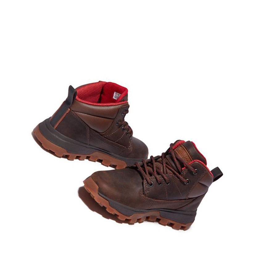 Botas Chukka Timberland Treeline Mid Hiker Niños Marrones Oscuro | ES-VOWIQ04