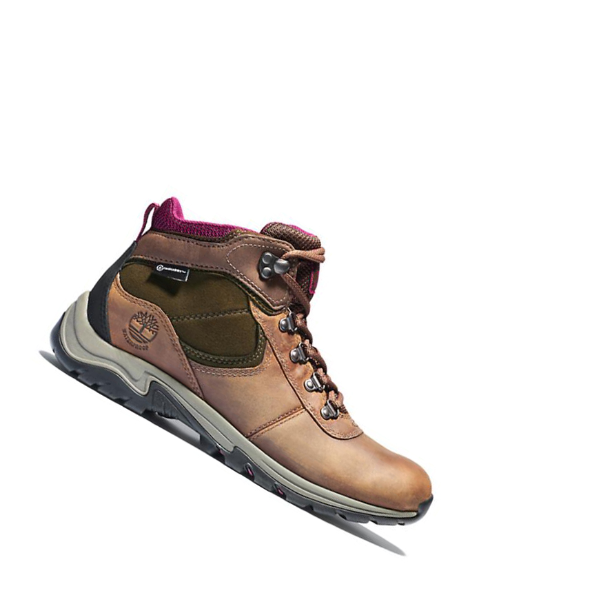 Botas Montaña Timberland Mt. Maddsen Mujer Marrones | ES-TKECX95