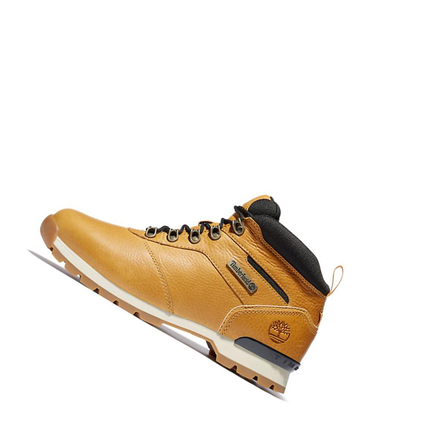 Botas Montaña Timberland Splitrock Mid Hiker Hombre Amarillo | ES-OBKAT41