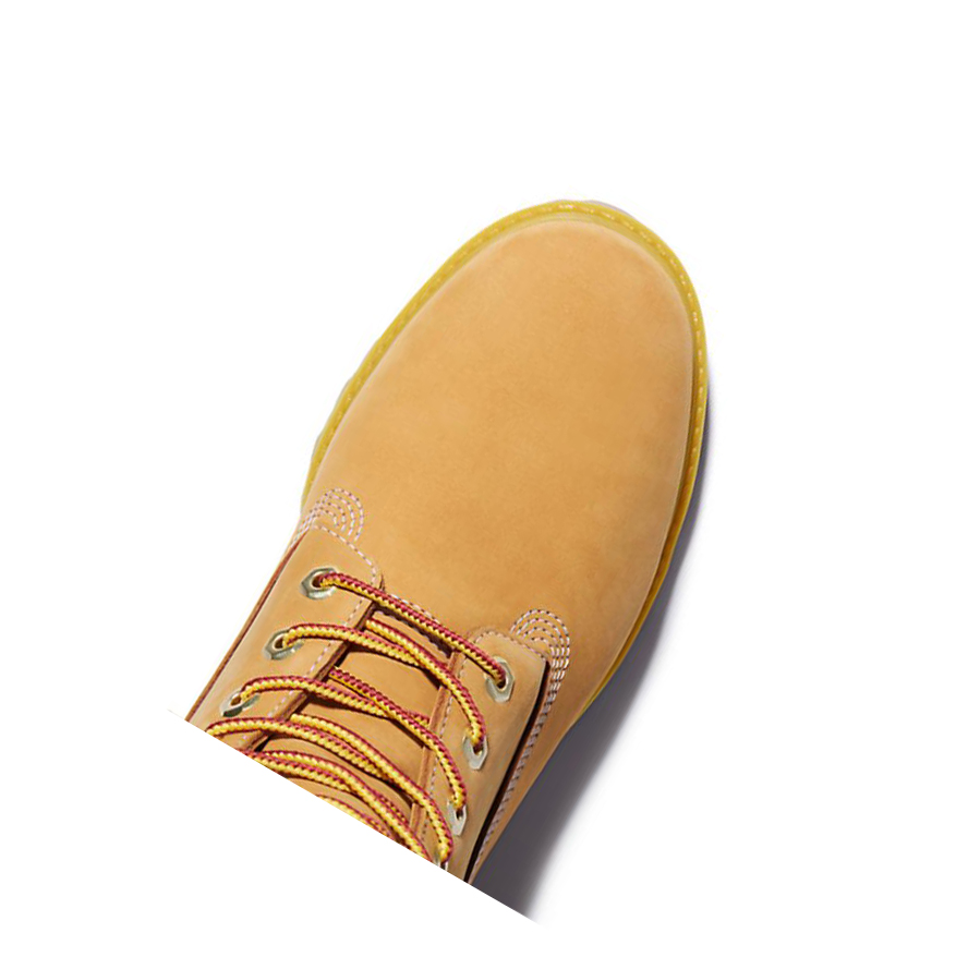 Botas de Invierno Timberland Alife x Timberland® 7.5 Inch Hombre Amarillo | ES-HYCKD03