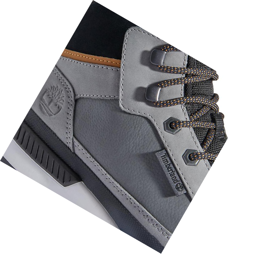 Botas de Invierno Timberland Field Trekker Chukka Hombre Gris | ES-IMBAX54