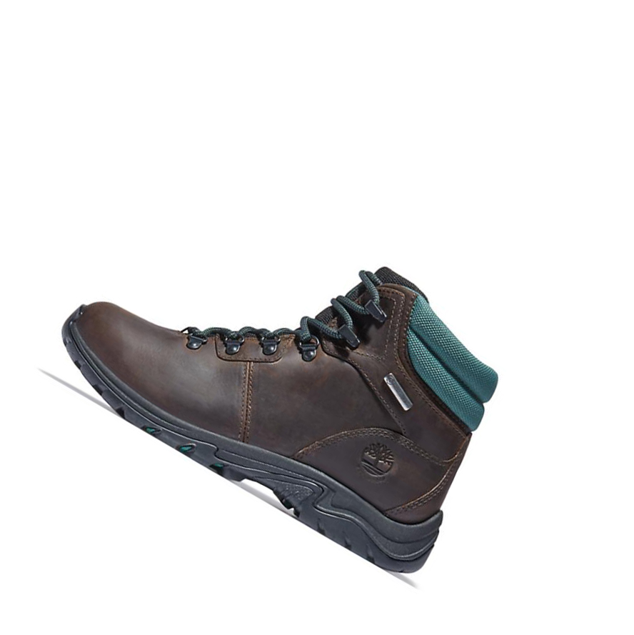 Botas de Invierno Timberland Mount Maddsen Hiker Mujer Marrones Oscuro | ES-HWUTL06