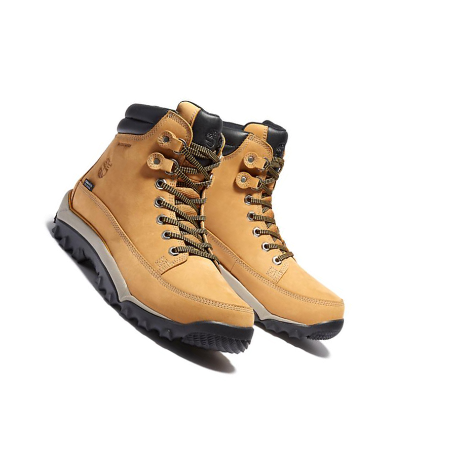 Botas de Invierno Timberland Rime Ridge Mid Hombre Amarillo | ES-UEFHW70