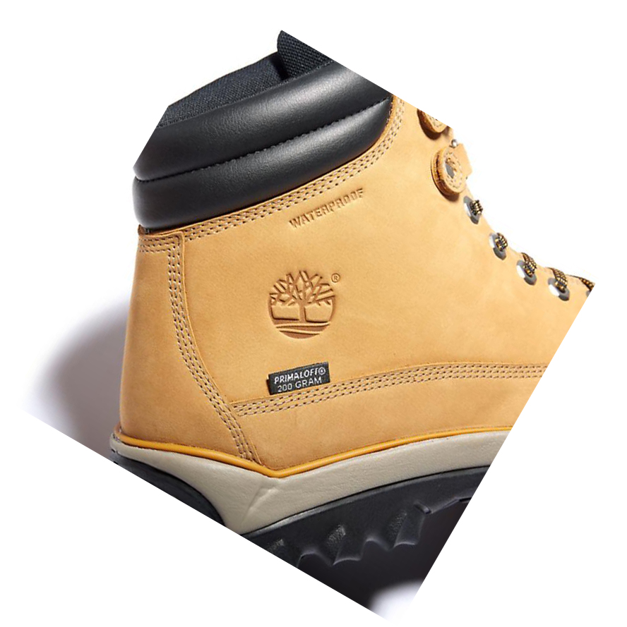 Botas de Invierno Timberland Rime Ridge Mid Hombre Amarillo | ES-UEFHW70