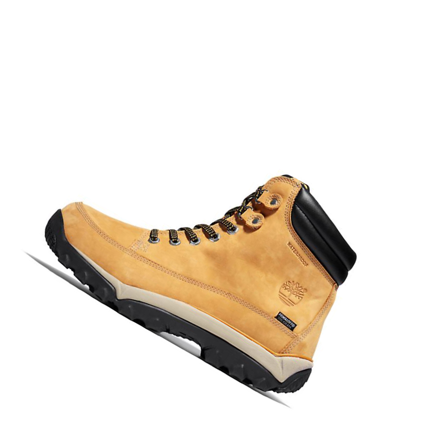 Botas de Invierno Timberland Rime Ridge Mid Hombre Amarillo | ES-UEFHW70