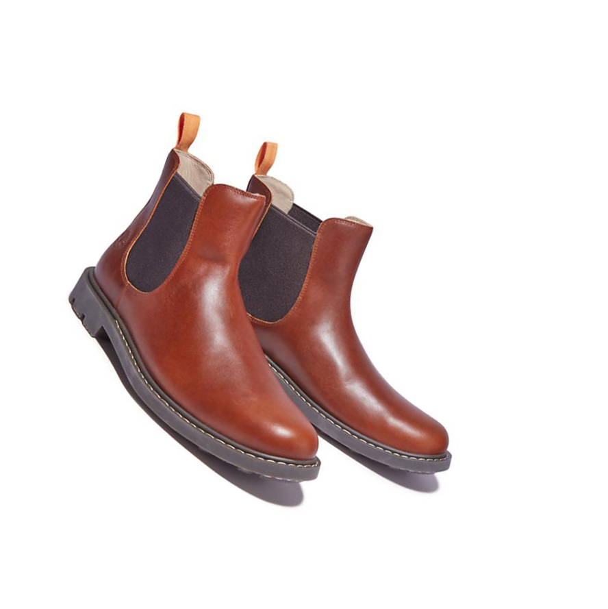 Botines Chelsea Timberland Belanger EK+ Leathers Hombre Marrones | ES-ZYBDQ53