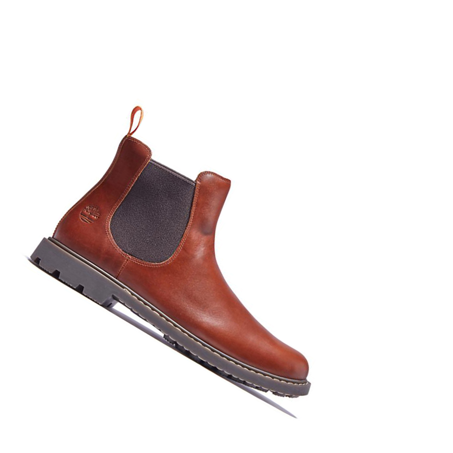 Botines Chelsea Timberland Belanger EK+ Leathers Hombre Marrones | ES-ZYBDQ53