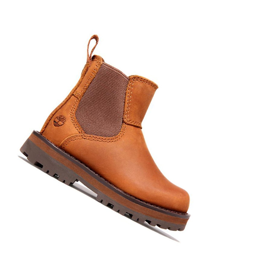 Botines Chelsea Timberland Courma Kid Niños Marrones | ES-QDLHT97