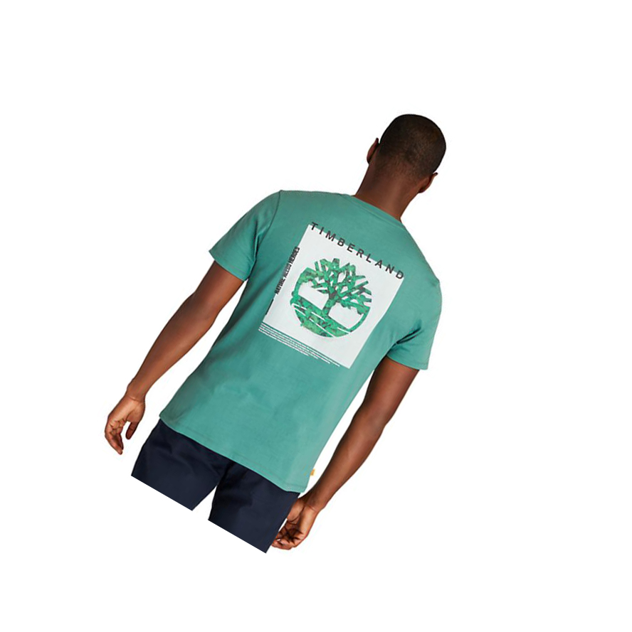 Camiseta Timberland Back-Graphic Logo Hombre Verde | ES-CQOLK34