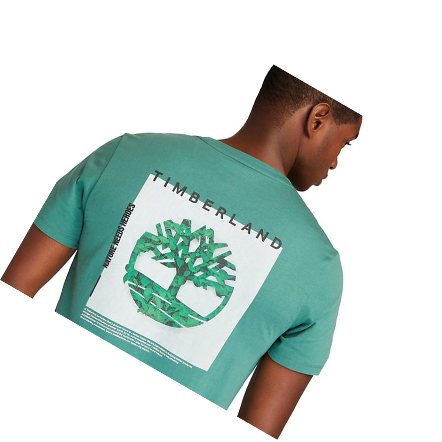 Camiseta Timberland Back-Graphic Logo Hombre Verde | ES-CQOLK34