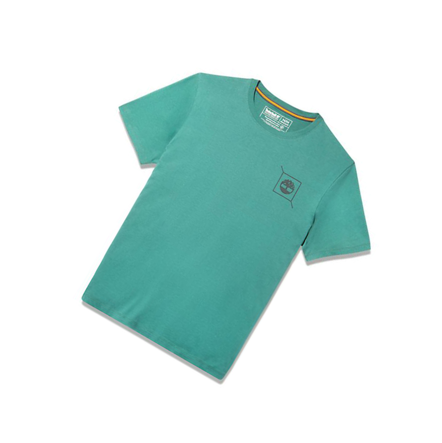 Camiseta Timberland Back-Graphic Logo Hombre Verde | ES-CQOLK34