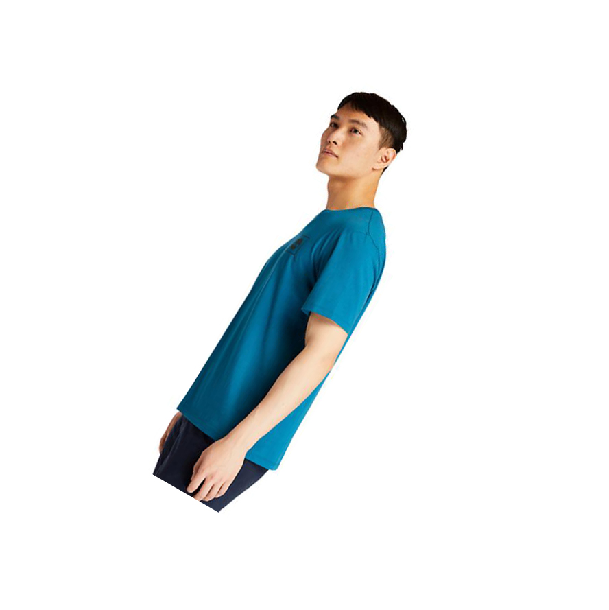 Camiseta Timberland Back-Graphic Logo Hombre Teal | ES-TXLGI45