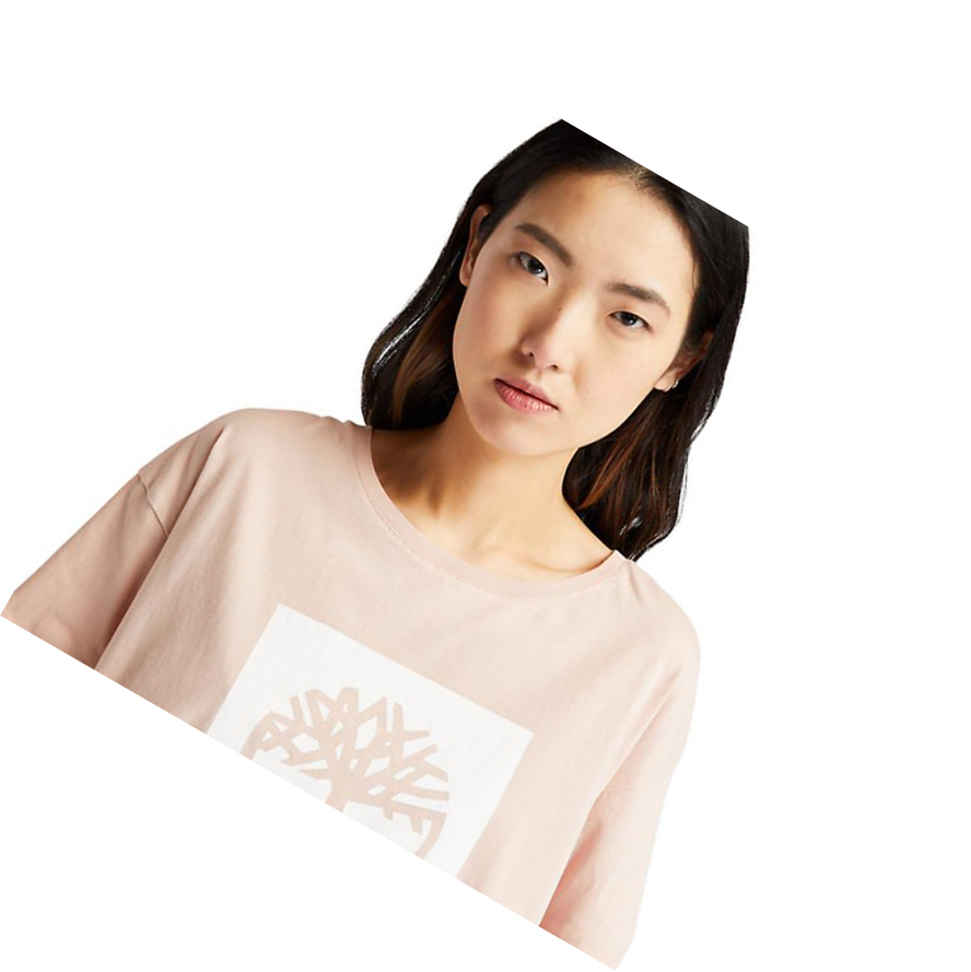 Camiseta Timberland Cropped Logo Mujer Rosas Claro | ES-XIRYQ13