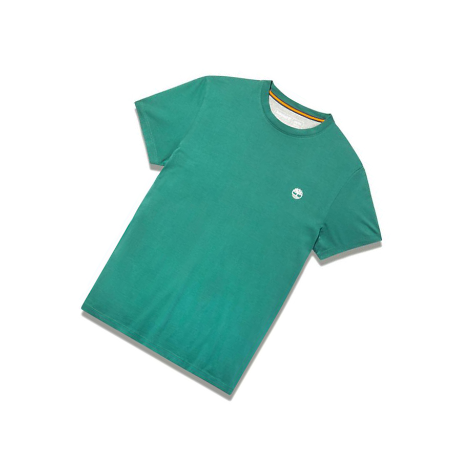 Camiseta Timberland Dunstan River Crew Hombre Verde | ES-WMBJV92