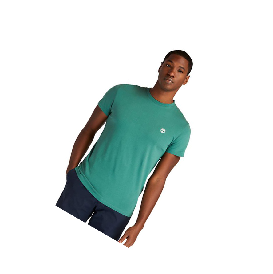 Camiseta Timberland Dunstan River Crew Hombre Verde | ES-WMBJV92