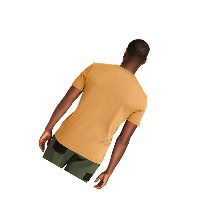 Camiseta Timberland Established 1973 Hombre Amarillo | ES-PWJOE46