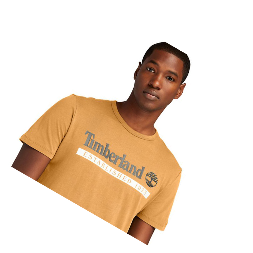 Camiseta Timberland Established 1973 Hombre Amarillo | ES-PWJOE46