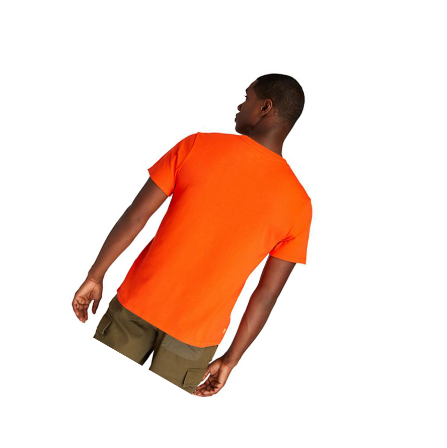 Camiseta Timberland Kennebec River Tree Logo Hombre Naranjas | ES-BYUXQ47