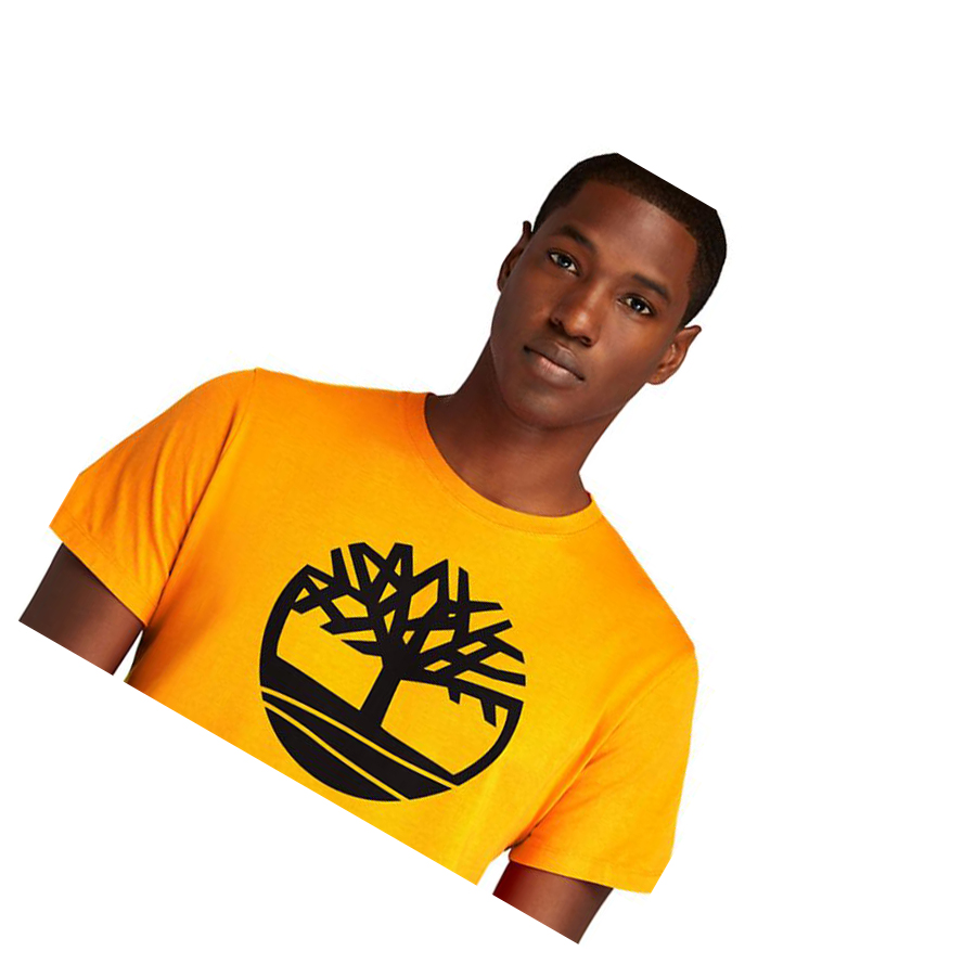 Camiseta Timberland Kennebec River Tree Logo Hombre Naranjas | ES-BYUXQ47