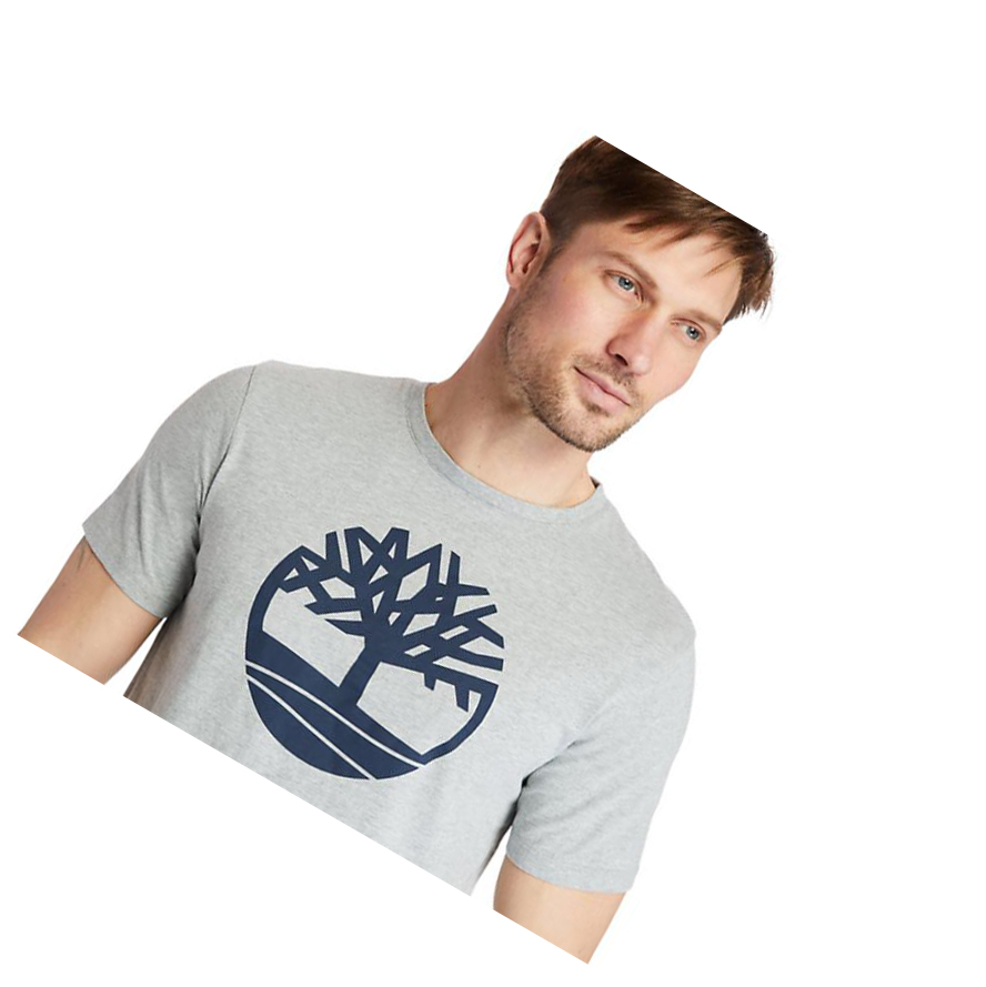 Camiseta Timberland Kennebec River Tree Logo Hombre Gris | ES-EOYTI42