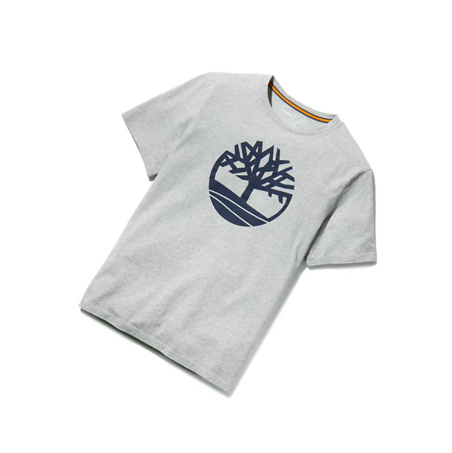 Camiseta Timberland Kennebec River Tree Logo Hombre Gris | ES-EOYTI42