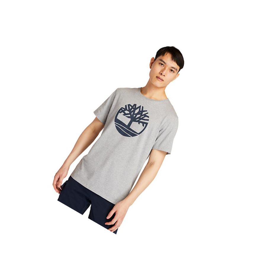 Camiseta Timberland Kennebec River Tree Logo Hombre Gris | ES-EOYTI42