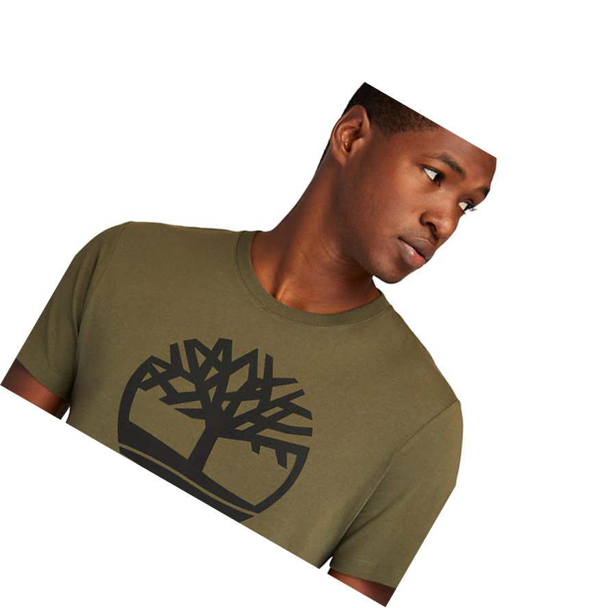 Camiseta Timberland Kennebec River Tree Logo Hombre Verde Oscuro | ES-VWXTZ43