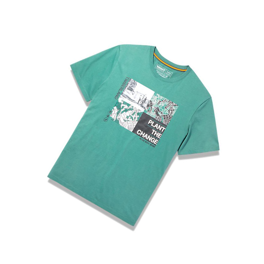 Camiseta Timberland Nature Needs Heroes™ Graphic Hombre Verde | ES-TAUFM70