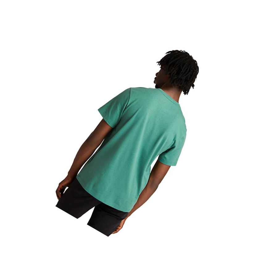 Camiseta Timberland Re-Comodidad EK+ Hombre Verde | ES-DVSRG83