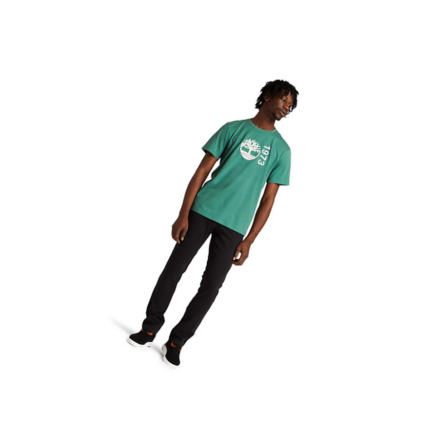 Camiseta Timberland Re-Comodidad EK+ Hombre Verde | ES-DVSRG83