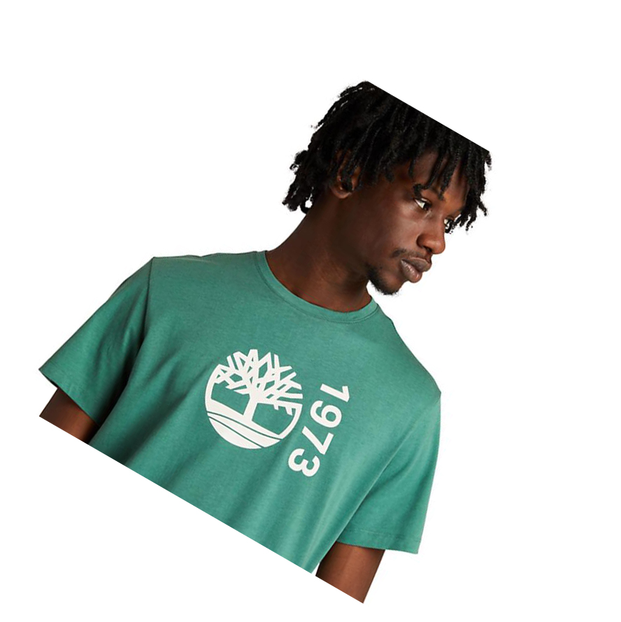 Camiseta Timberland Re-Comodidad EK+ Hombre Verde | ES-DVSRG83