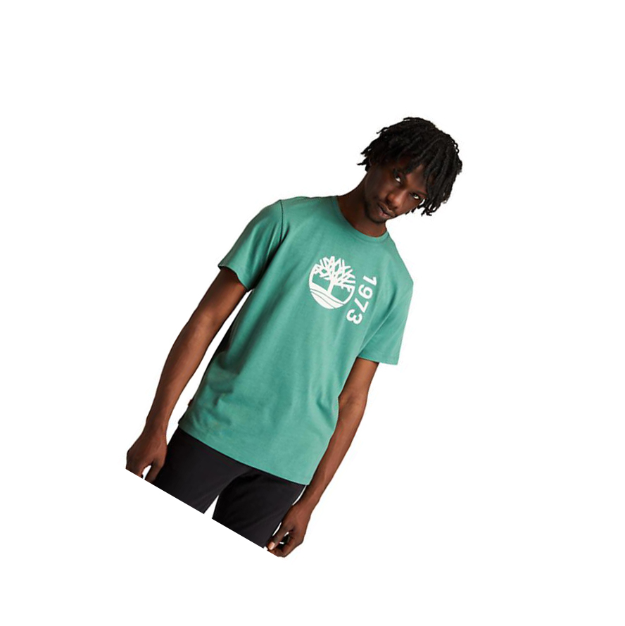 Camiseta Timberland Re-Comodidad EK+ Hombre Verde | ES-DVSRG83