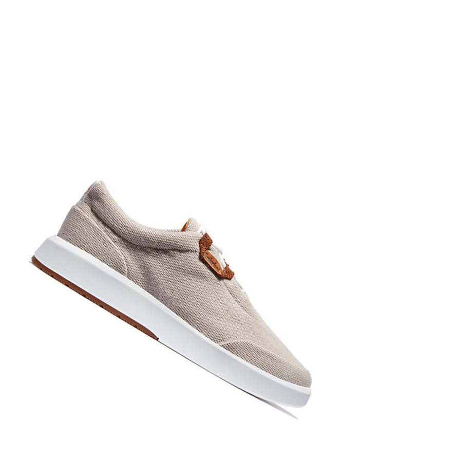 Canvas Shoes Timberland TrueCloud™ EK+ Hombre Blancas | ES-HAEVS76