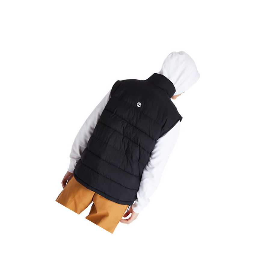 Chalecos Timberland Archive Puffer Hombre Negras | ES-ZMPID08