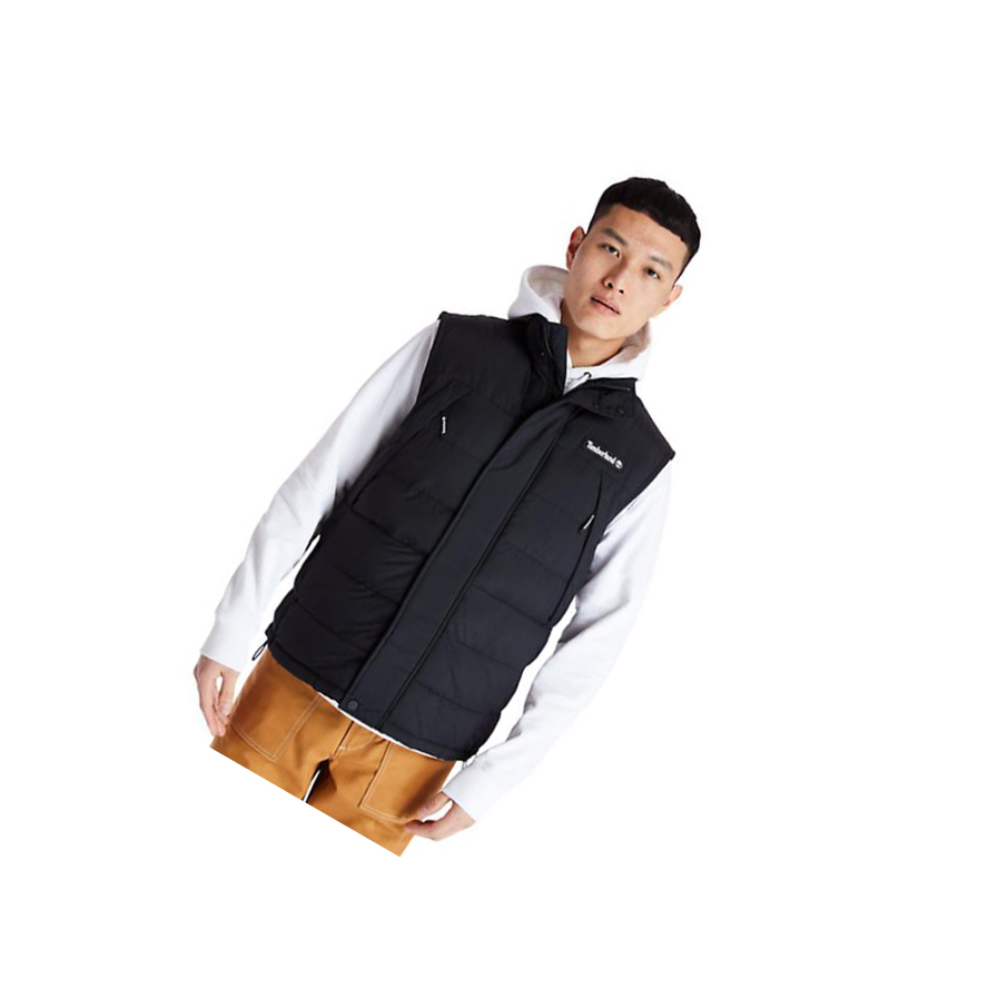 Chalecos Timberland Archive Puffer Hombre Negras | ES-ZMPID08