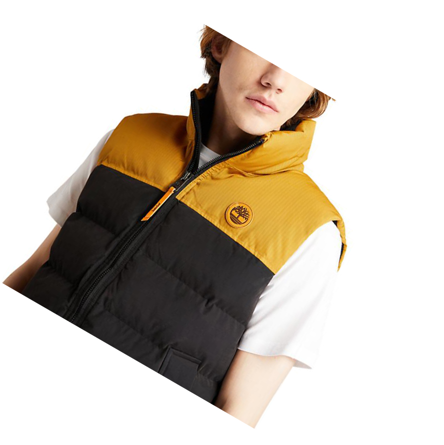 Chalecos Timberland Welch Mountain Puffer Hombre Negras | ES-EWCRZ71